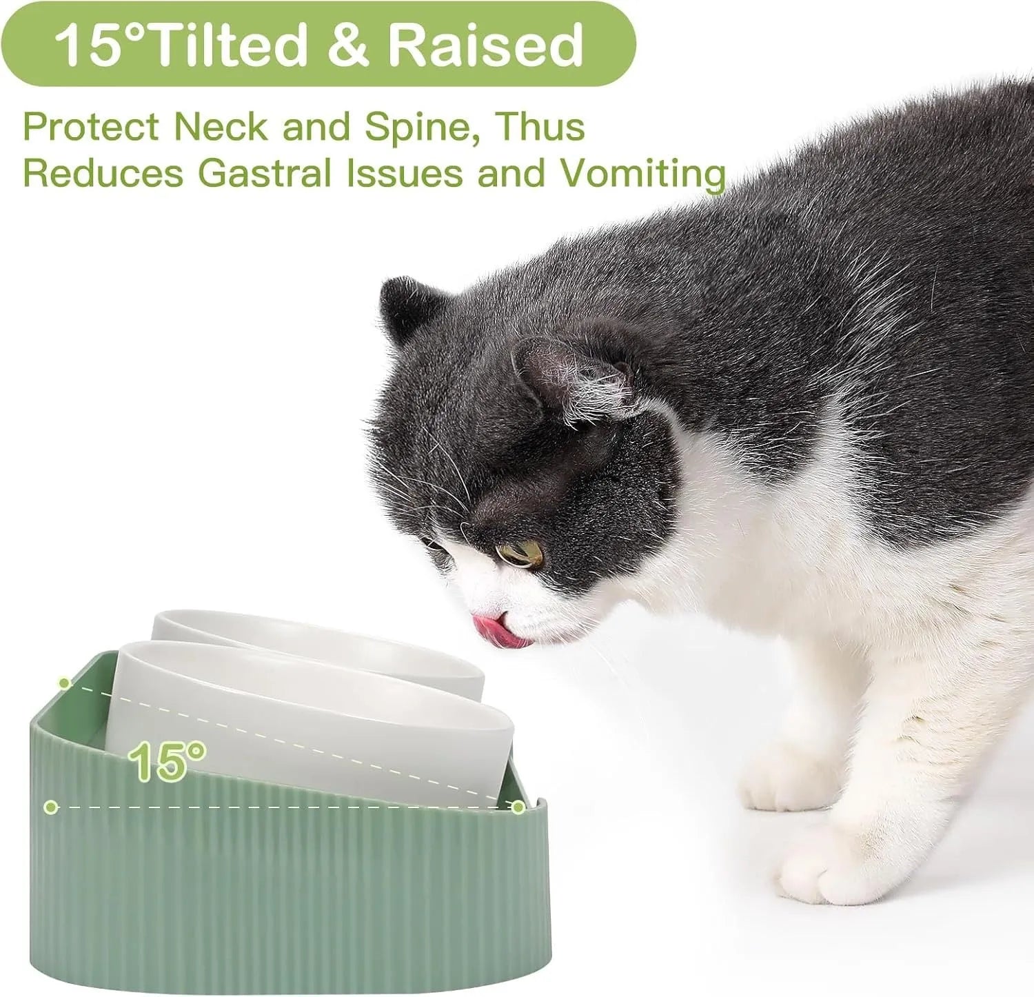 Green ceramic raised cat bowl set with two bowls on a tilted stand