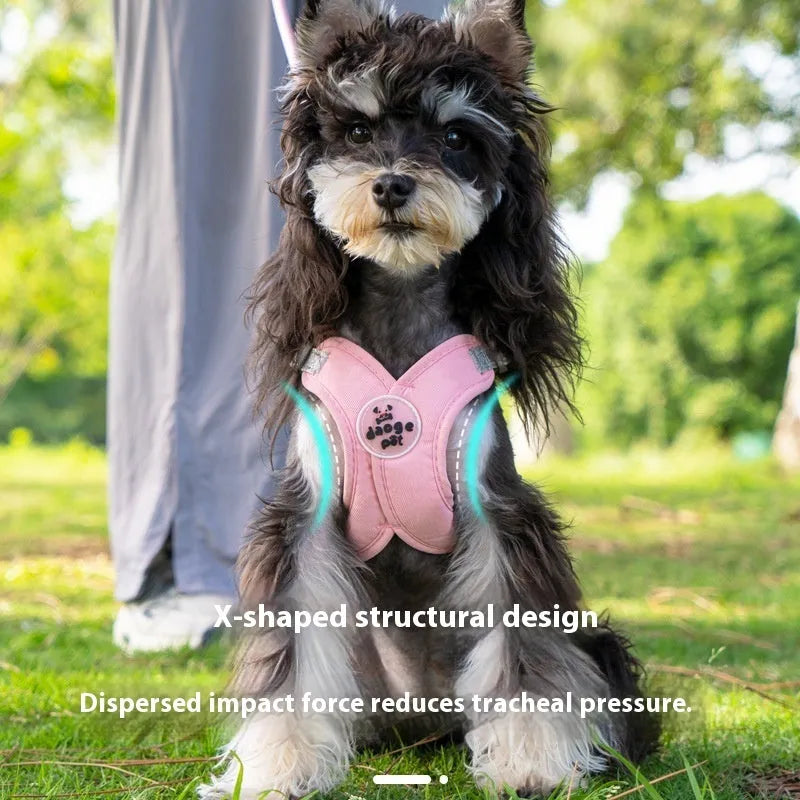 Polyester dog harness and lead set in matching colours with adjustable vest and hand-holding rope