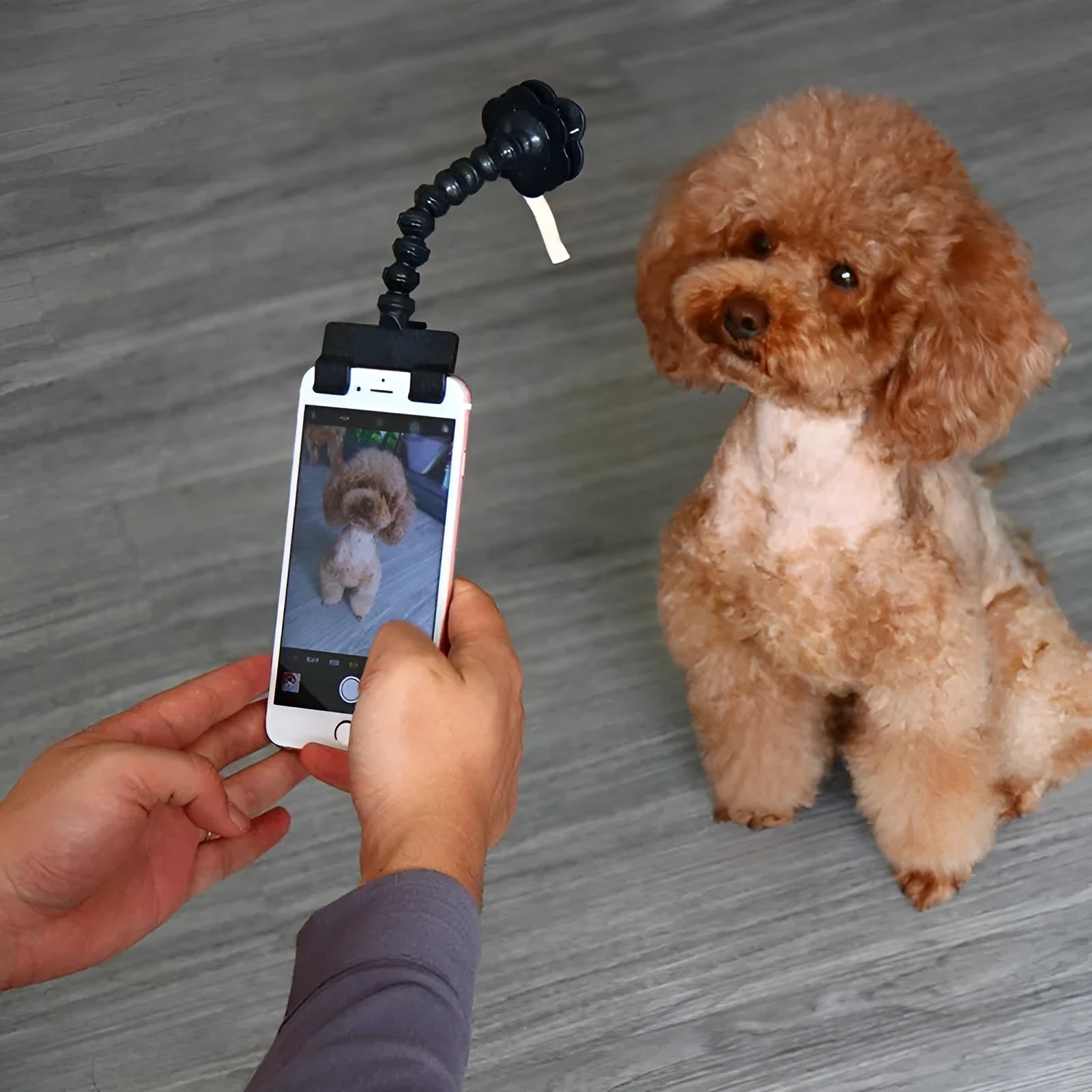 Black and white pet selfie stick with square and flower clips for mobile phone photography
