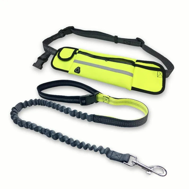 Hands-free dog running leash with black waist belt and reflective nylon bungee leash