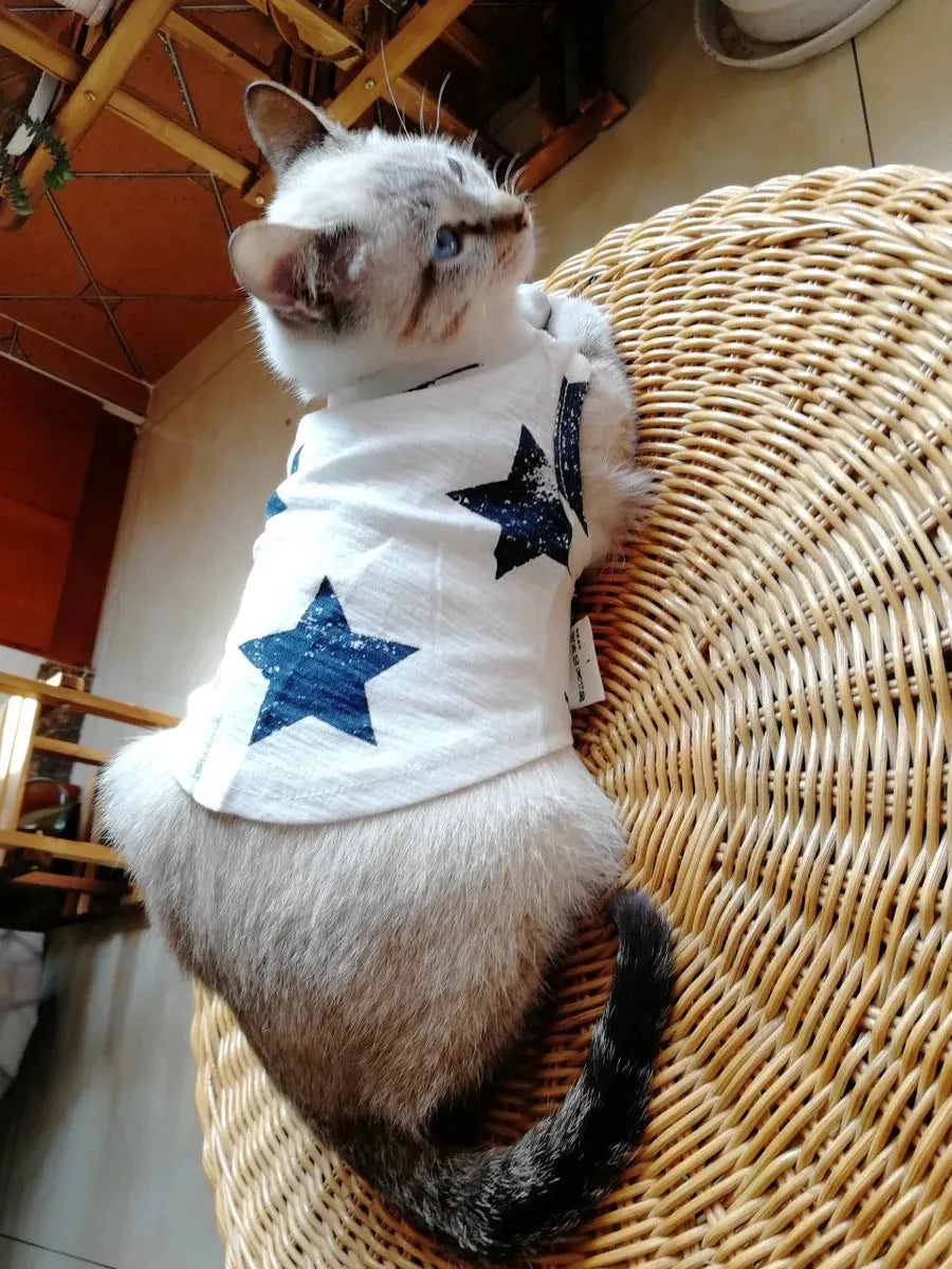 Cotton dog vest in dark blue on a small dog, showing back length and chest fit
