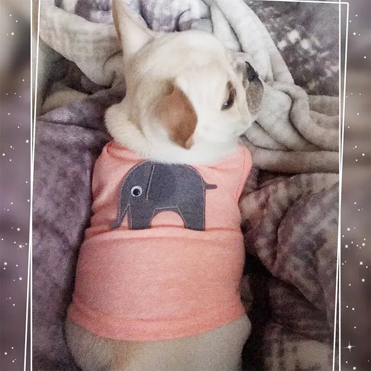 Cotton dog vest in dark blue on a small dog, showing back length and chest fit