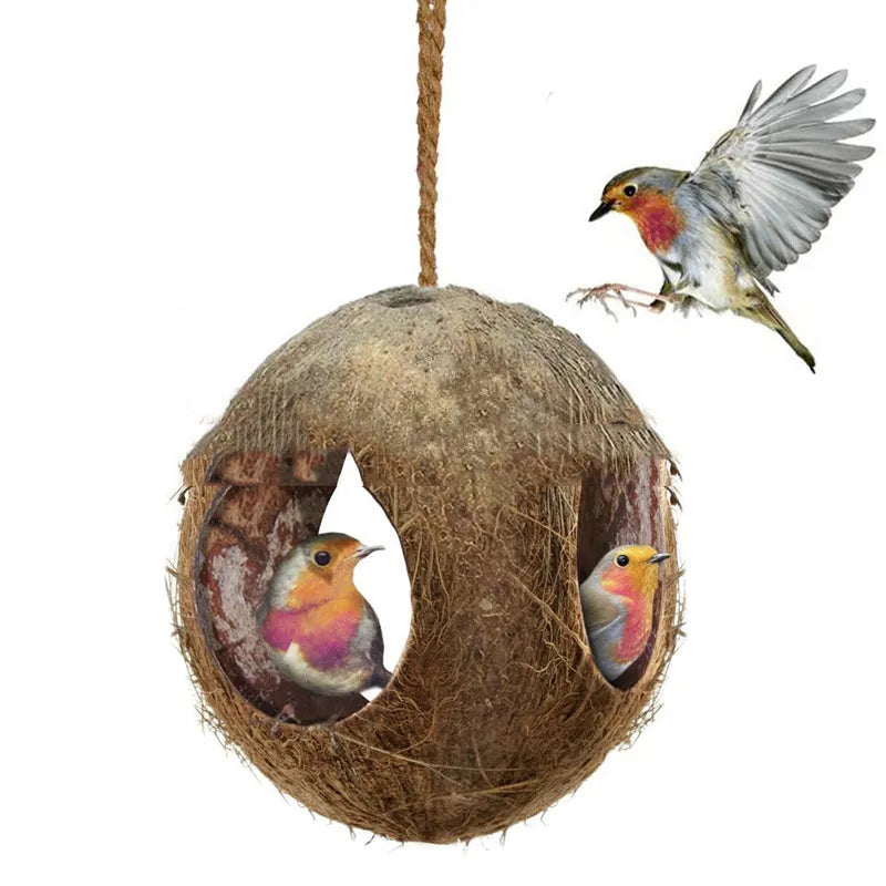 Small brown coconut shell bird nest feeder hanging outdoors, about 12-16cm diameter and 30cm height