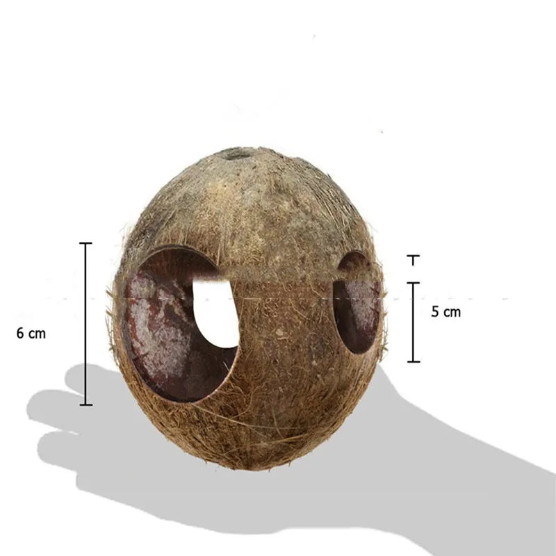Small brown coconut shell bird nest feeder hanging outdoors, about 12-16cm diameter and 30cm height