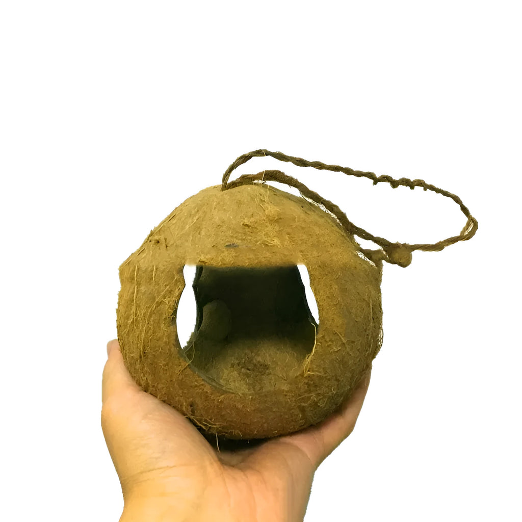 Small brown coconut shell bird nest feeder hanging outdoors, about 12-16cm diameter and 30cm height