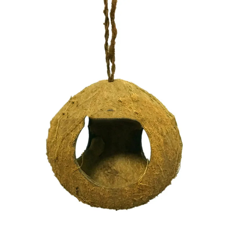 Small brown coconut shell bird nest feeder hanging outdoors, about 12-16cm diameter and 30cm height
