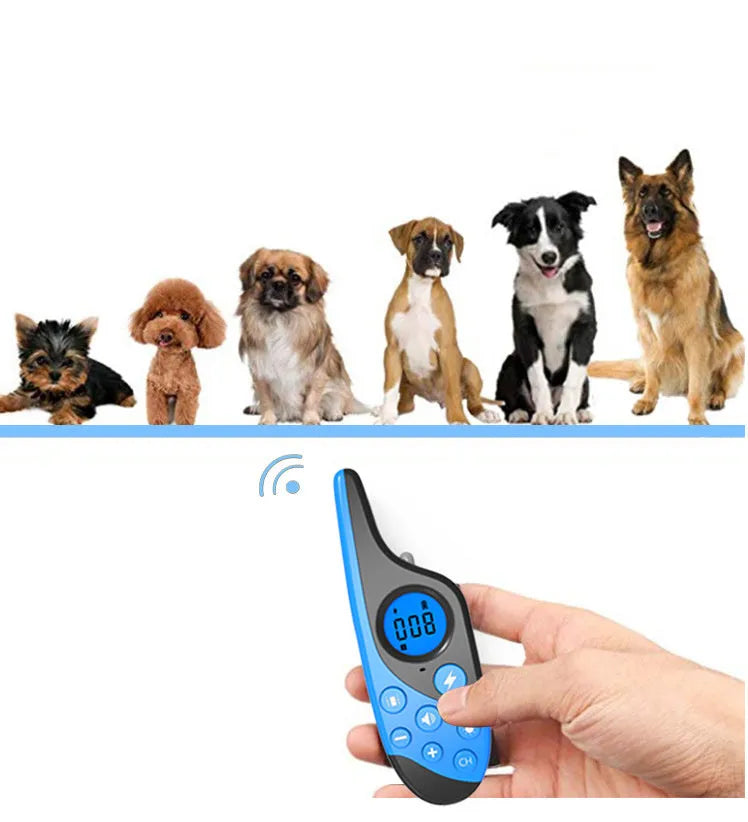 Blue rechargeable remote control dog training collar with waterproof receiver and rainproof remote, 60cm adjustable strap
