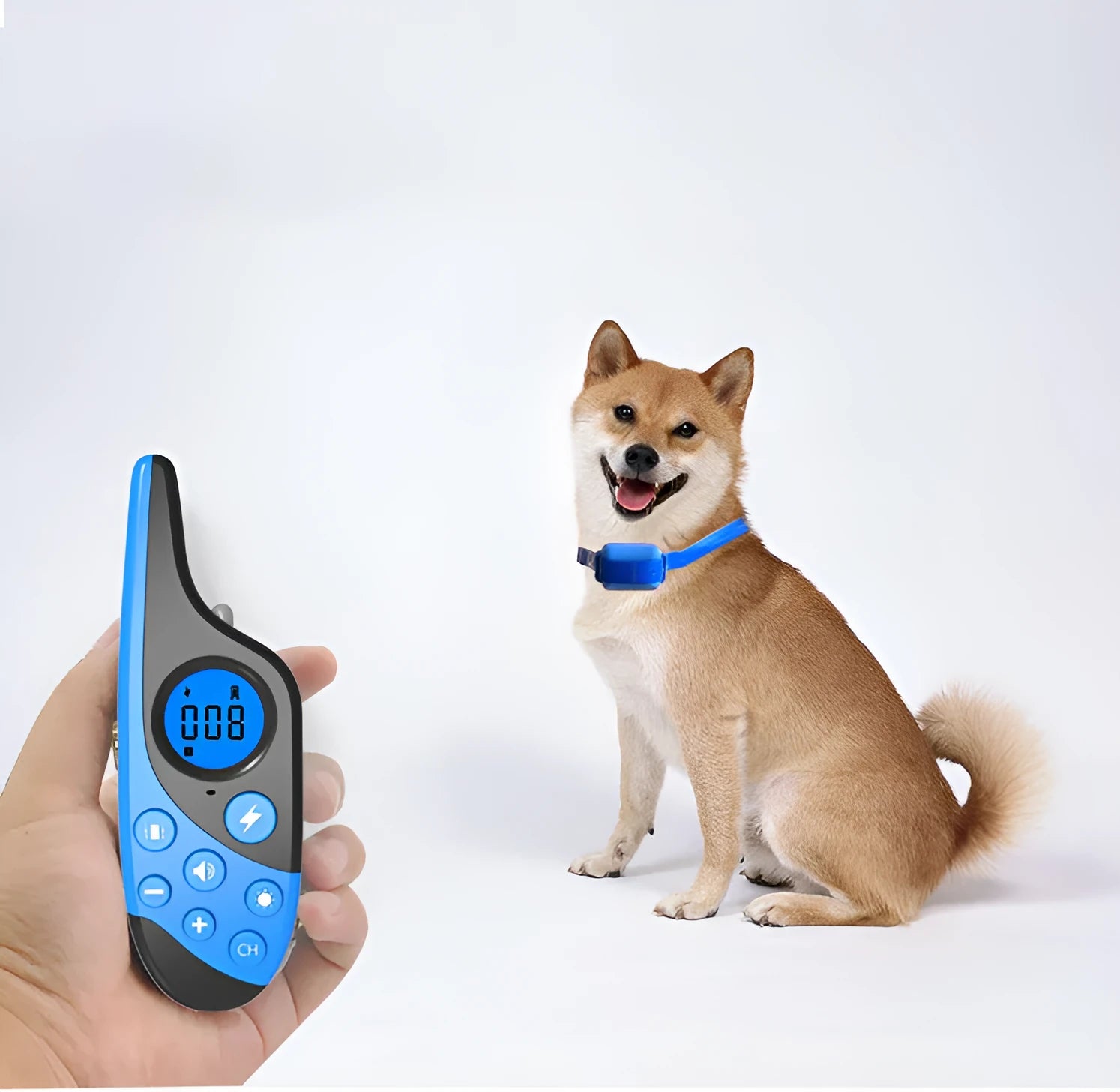 Blue rechargeable remote control dog training collar with waterproof receiver and rainproof remote, 60cm adjustable strap