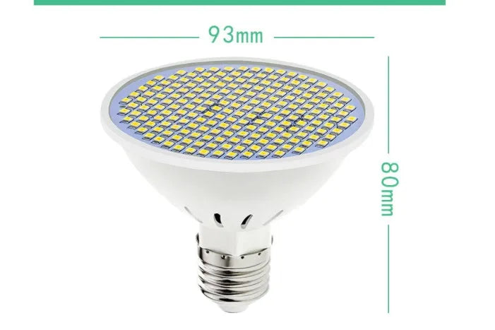 E27 screw base LED lamp cup bulb showing warm white and cool white light options.