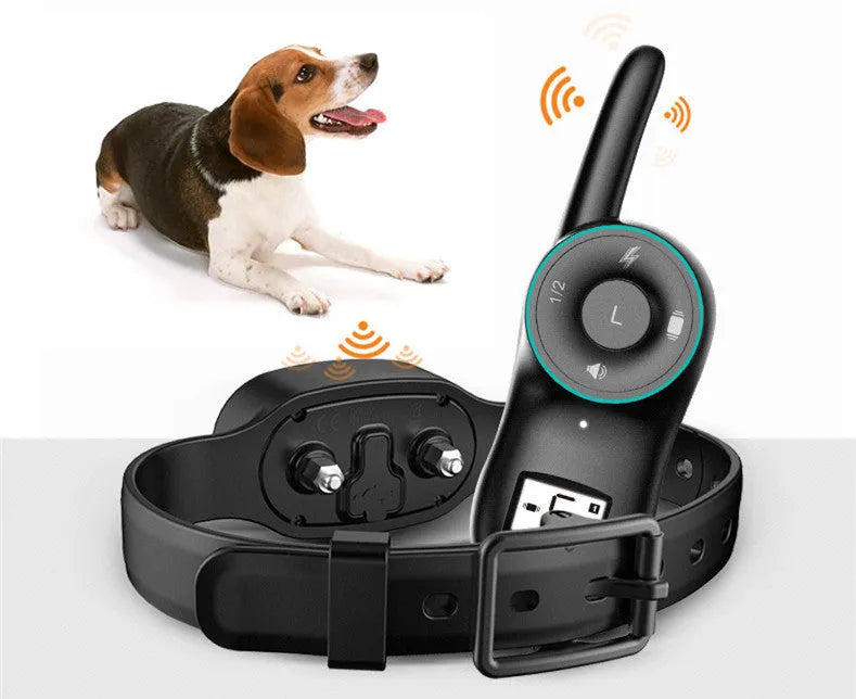 Black rechargeable remote dog training collar with waterproof IP65 rating and adjustable intensity control