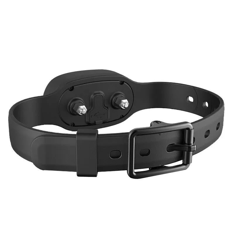 Black rechargeable remote dog training collar with waterproof IP65 rating and adjustable intensity control