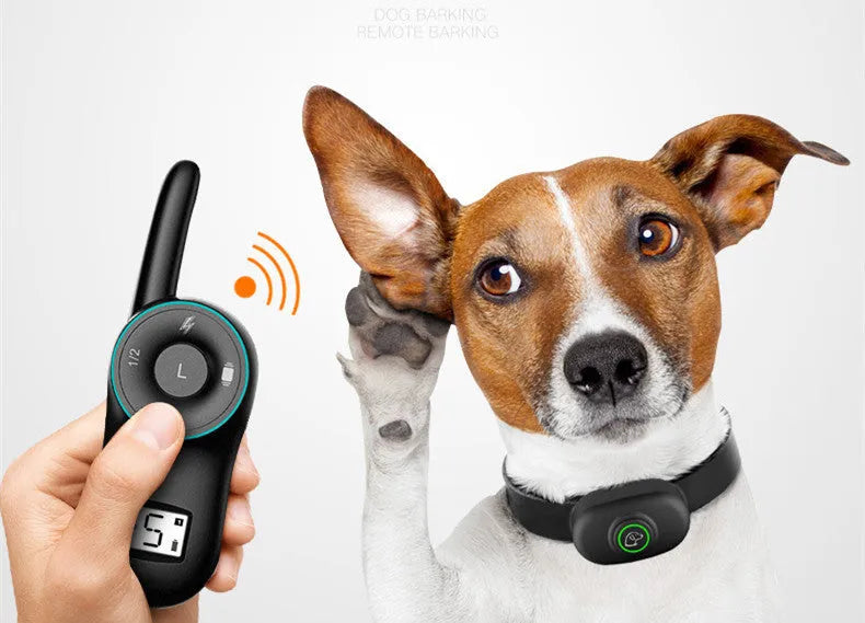 Black rechargeable remote dog training collar with waterproof IP65 rating and adjustable intensity control
