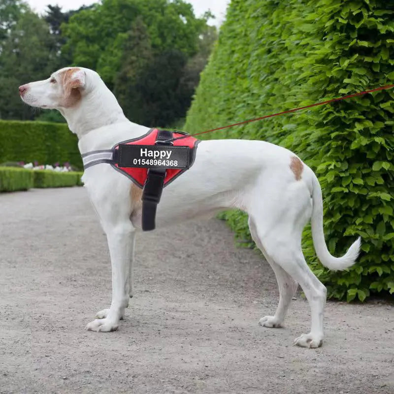 Personalised dog harness with dog name, reflective nylon adjustable chest strap, and handle for outdoor use