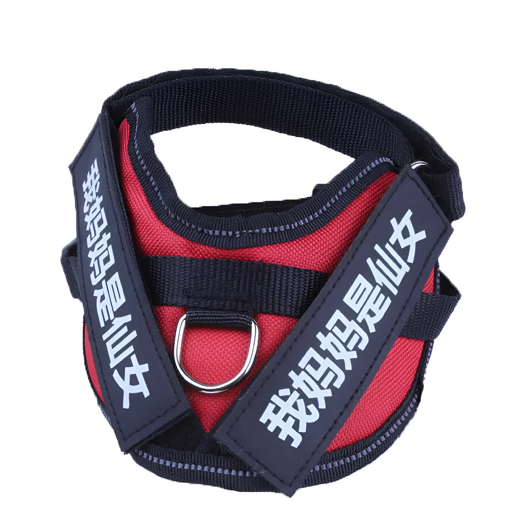 Personalised dog harness with dog name, reflective nylon adjustable chest strap, and handle for outdoor use
