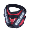 Personalised dog harness with dog name, reflective nylon adjustable chest strap, and handle for outdoor use