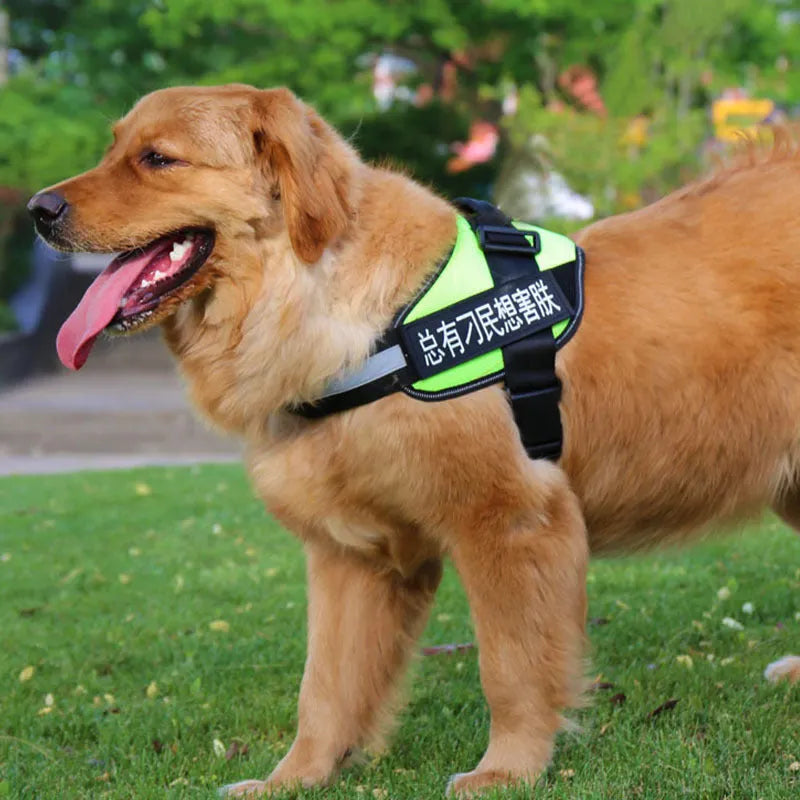 Personalised dog harness with dog name, reflective nylon adjustable chest strap, and handle for outdoor use