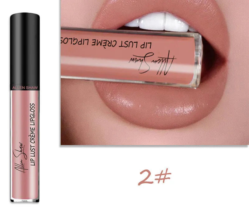 Silky cream texture lip gloss in a cross-border exclusive range of 12 different colours.