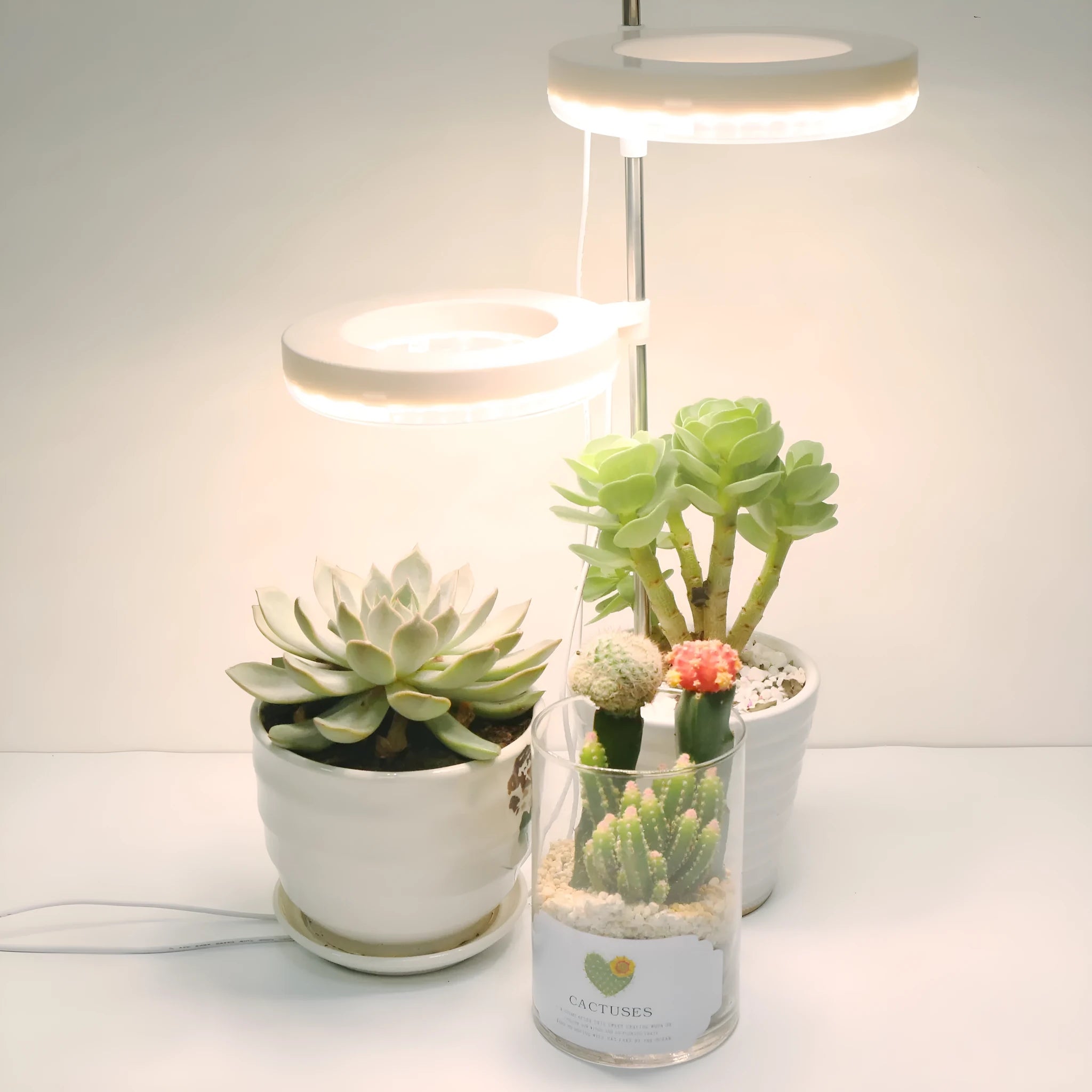White desk plant growth lamp with LED light for indoor office plants