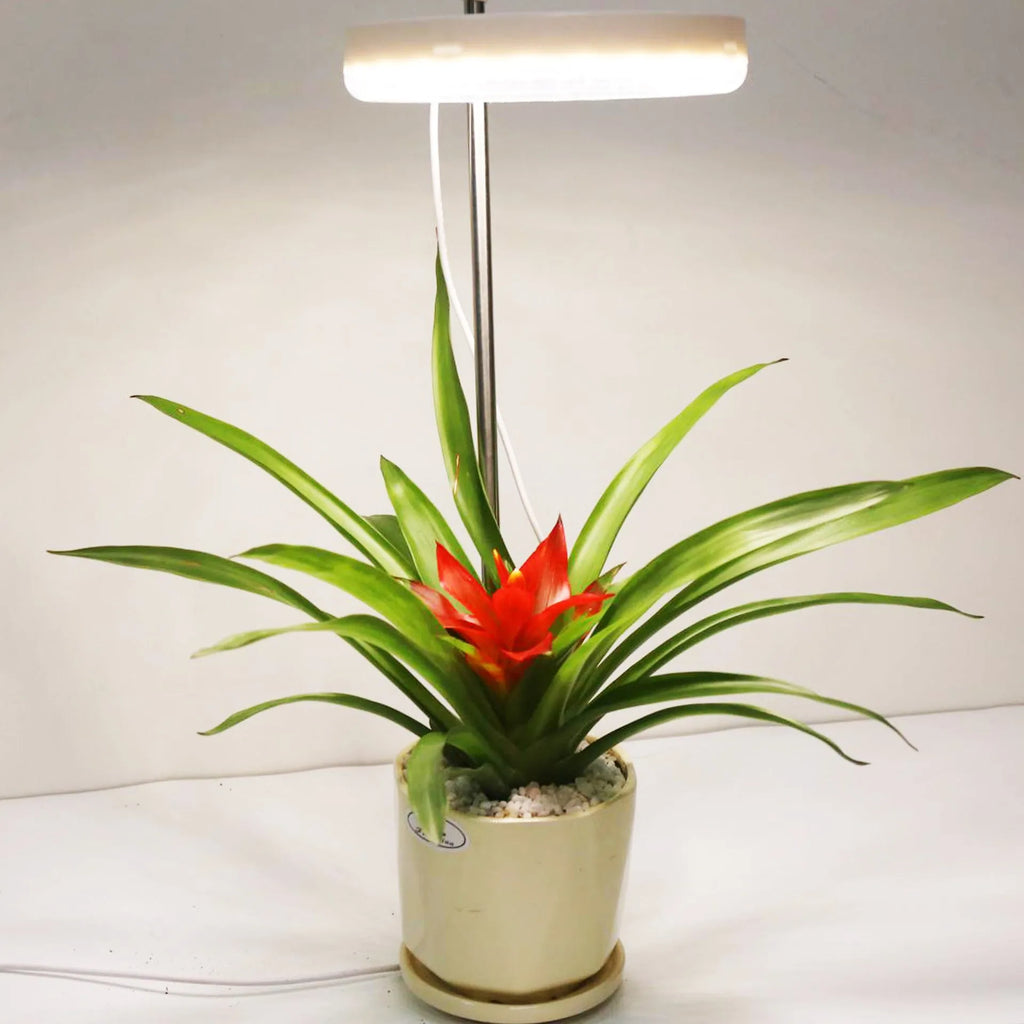 White desk plant growth lamp with LED light for indoor office plants
