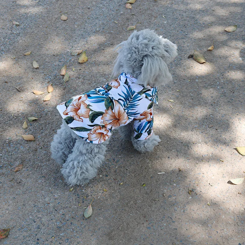 Hawaiian dog style shirt in cotton with multicolor print on a white background, sizes XS to XXL