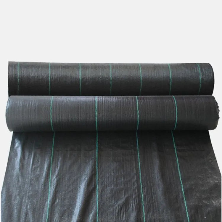 Black woven PE weed-proof cloth for farmland and greenhouse weed suppression