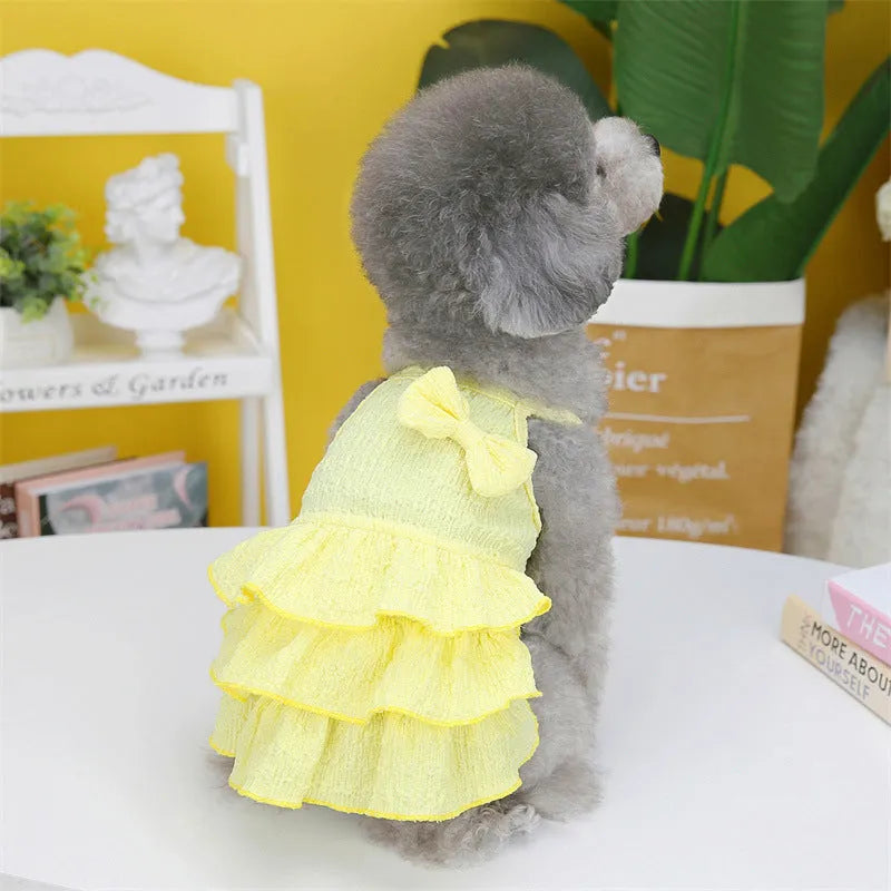 Small dog wearing polyester princess dress with candy layered skirt in water green colour
