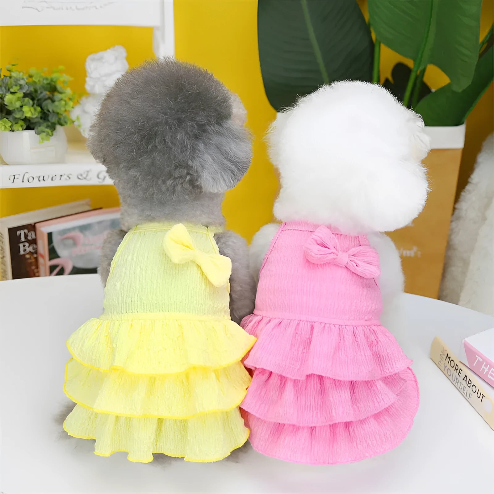Small dog wearing polyester princess dress with candy layered skirt in water green colour