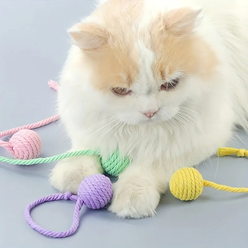 Cat toy ball with rope in four colours: green, pink, purple, and yellow