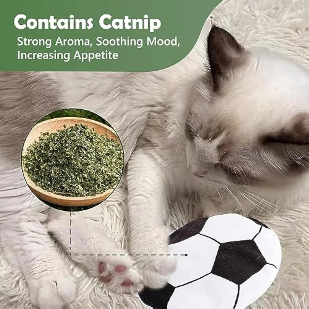 Plush flying disc cat toy with sports ball pattern, containing catnip and crinkle sound elements.