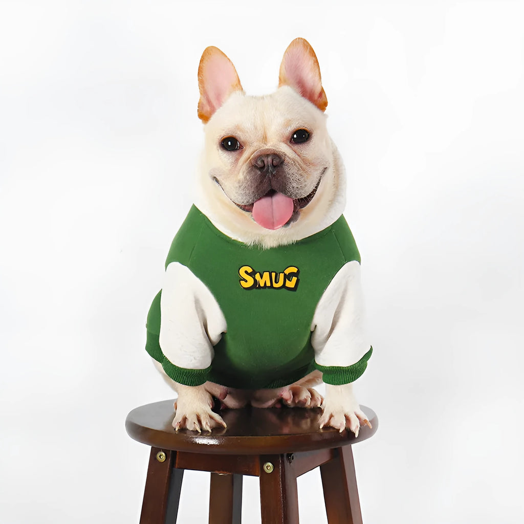 Green cotton dog jumper for large dogs, sizes L to 4XL, for autumn and winter wear.
