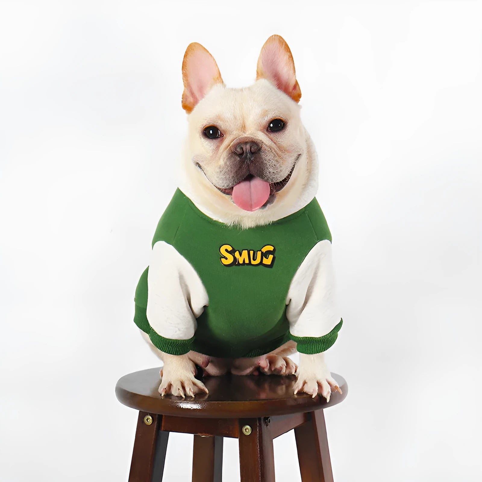 Green cotton dog jumper for large dogs, sizes L to 4XL, for autumn and winter wear.