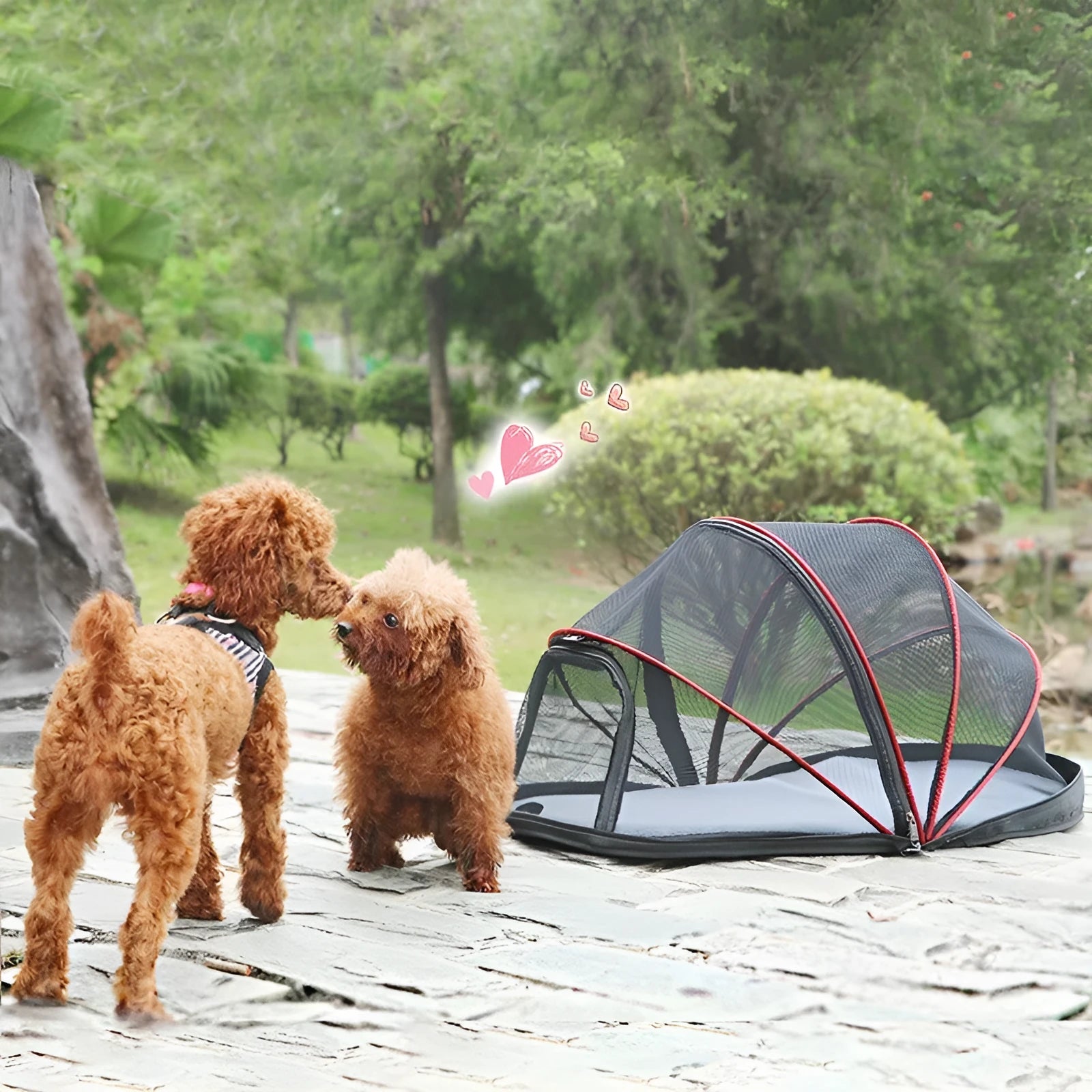 Foldable cat tent with half mesh design in blue colour variant