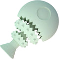 Blue fish bone shaped dog chew toy with hollow centre for treats, shown next to a green and pink version.