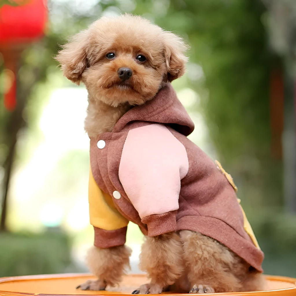 Cotton dog sweatshirt in brown, green or pink colour options for pet leisure clothing