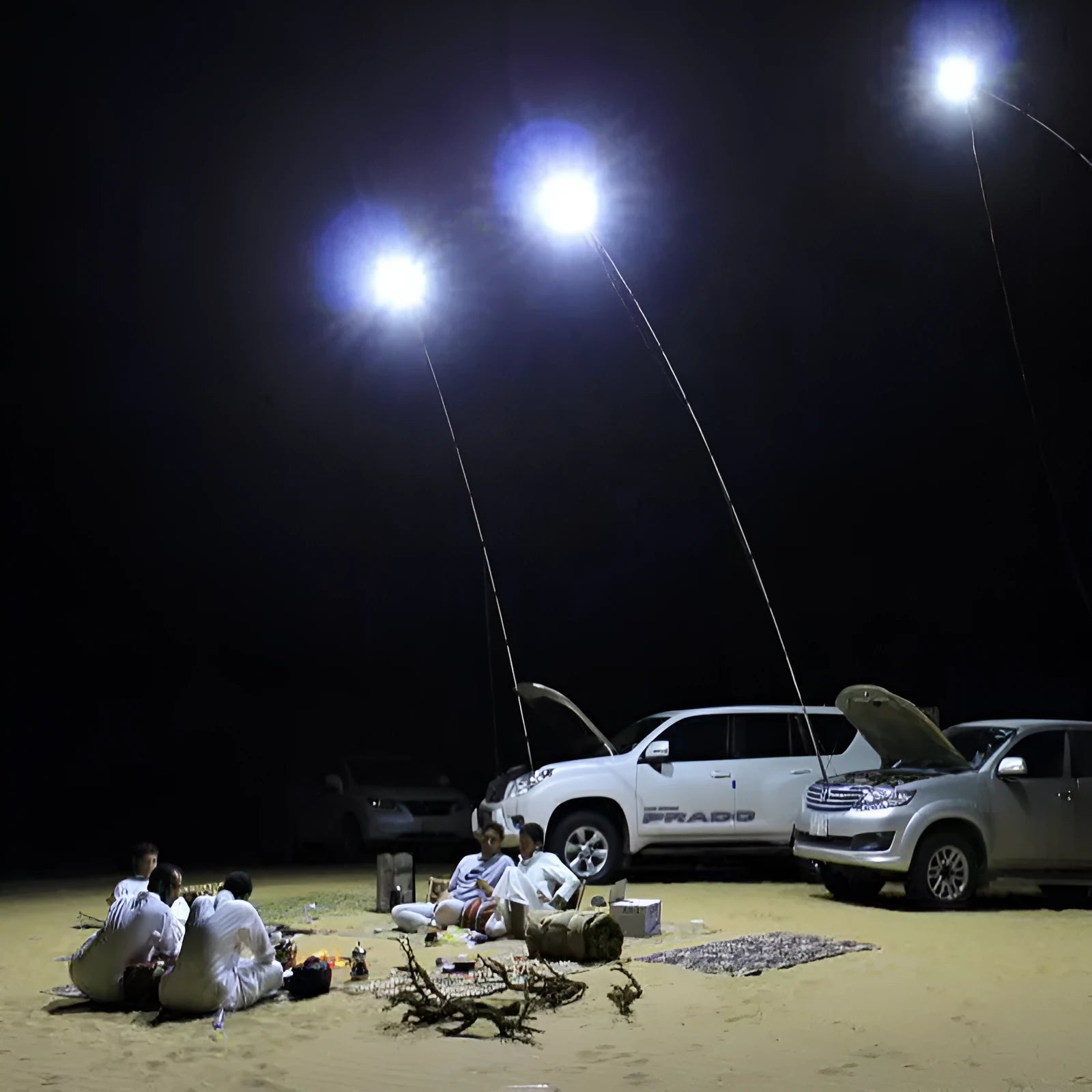 LED fishing rod light with telescopic pole extended, showing remote control and 12V power connection