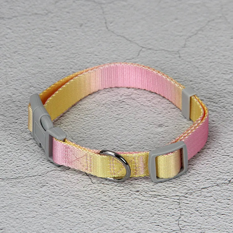 Nylon dog leash and harness set in pink and blue gradient colour, showing collar, leash, and chest strap components.
