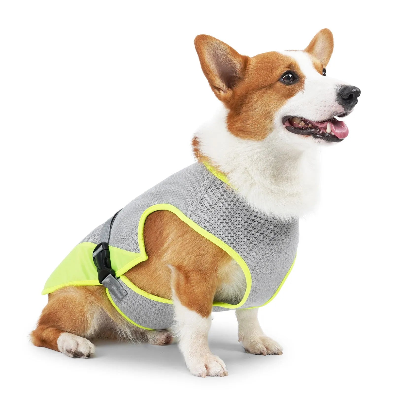 Polyester dog cooling vest in light grey colour on canine model
