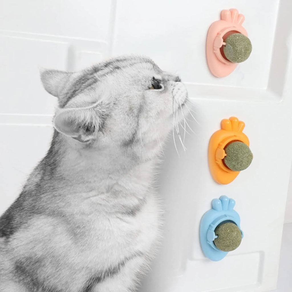 Blue carrot-shaped self-adhesive catnip ball toy for cats on a white wall.