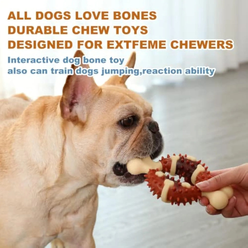 Bone-shaped natural rubber dog dental toy for teeth grinding and anxiety relief