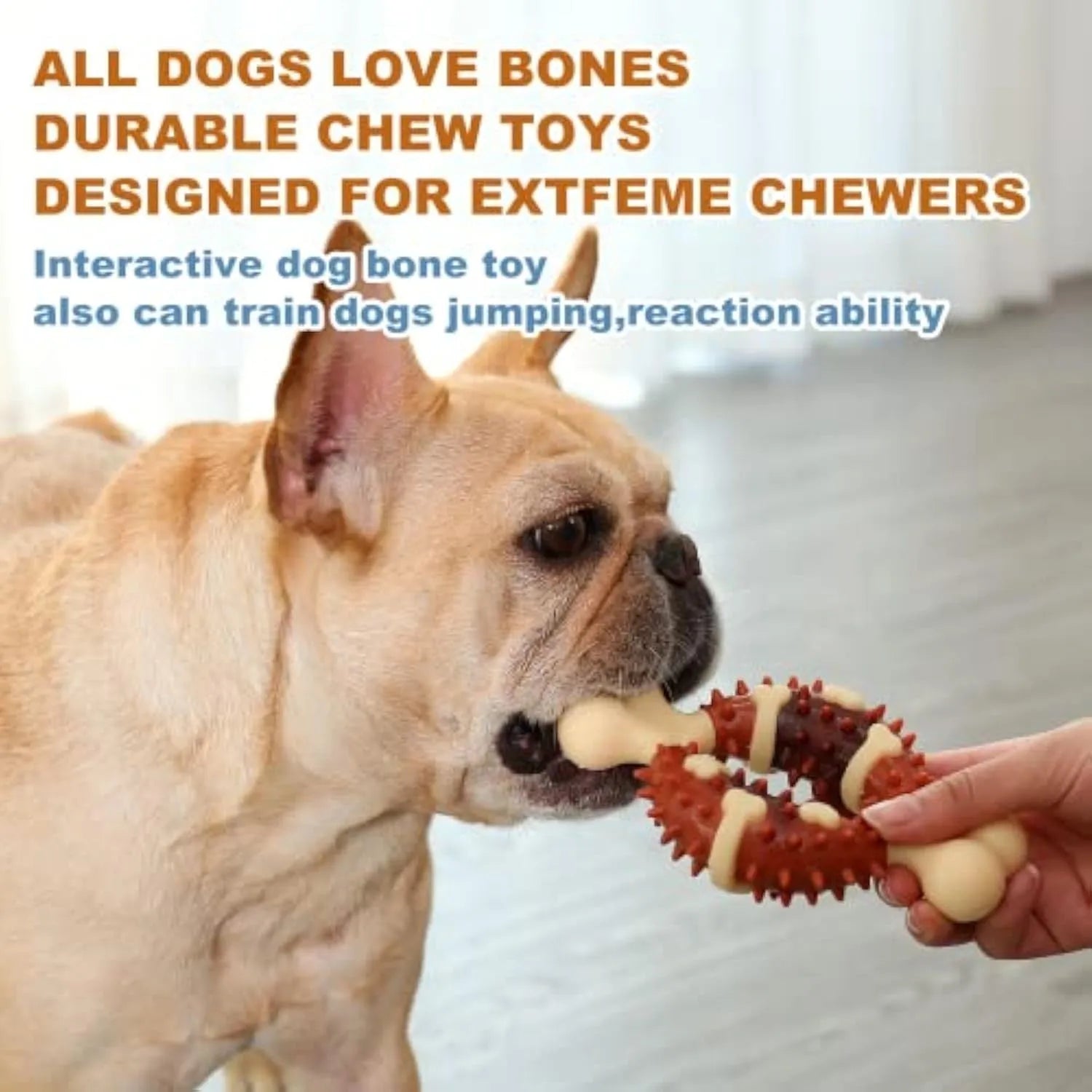 Bone-shaped natural rubber dog dental toy for teeth grinding and anxiety relief