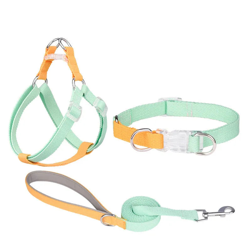 Polyester ribbon dog collar set showing collar, chest strap and traction rope in matching colours
