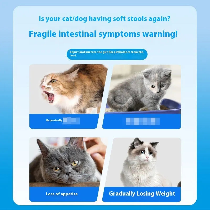 Bottle of 180 pet active probiotic tablets for dog and cat digestive health care