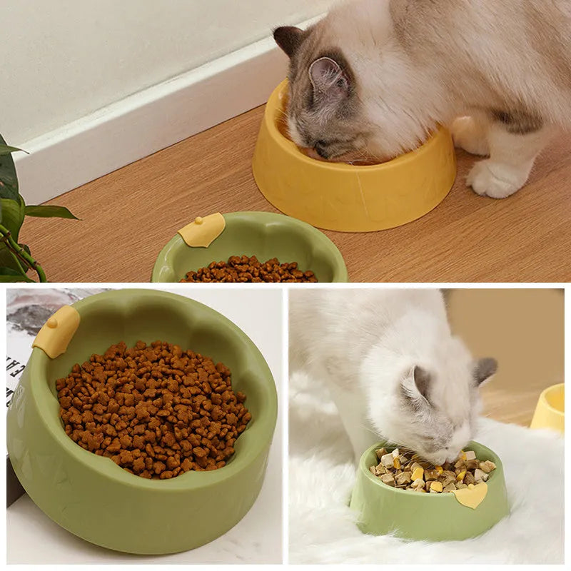 Green plastic double pet bowl feeder for dogs and cats on a white background