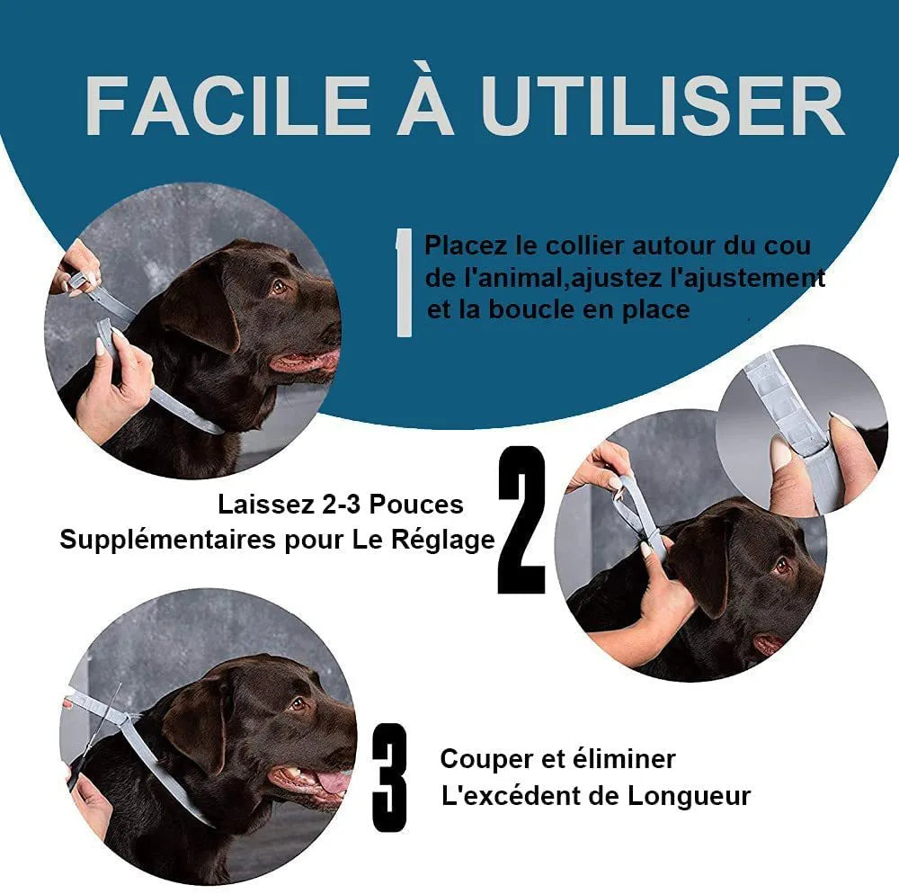Rainbow-coloured plastic pet flea preventing collar for cats or dogs with anti-lice properties
