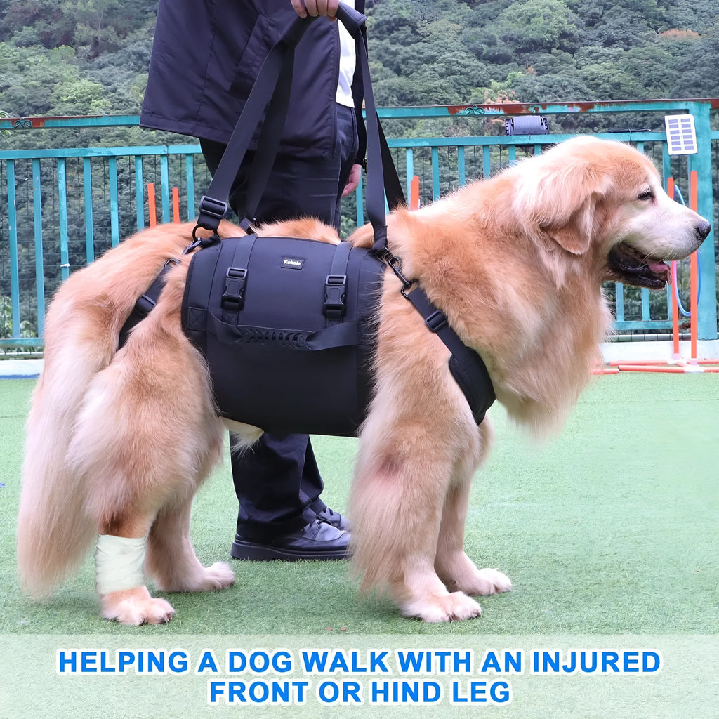 Black Oxford cloth adjustable dog harness for chest support, shown in multiple sizes.