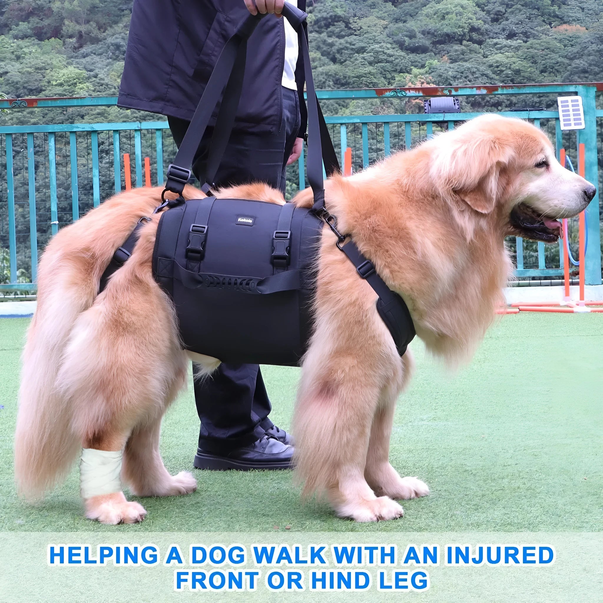Black Oxford cloth adjustable dog harness for chest support, shown in multiple sizes.