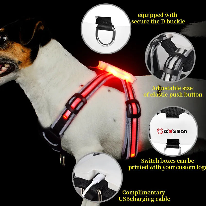 Nylon dog lead with luminous seven-colour changing strap and charging cable for pet safety
