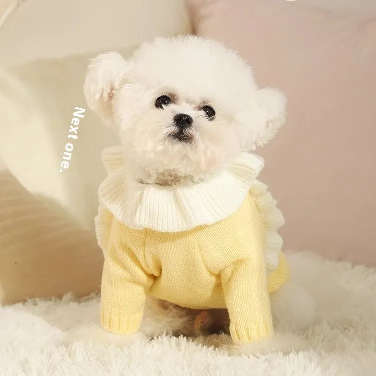 Small dog wearing autumn sweater in yellow XINGX design with size options from XS to XL