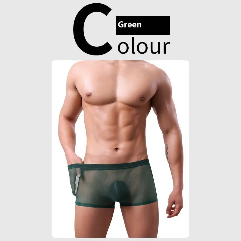 Men's mesh boxer briefs with sheer thin fabric and low waist design in multiple colours