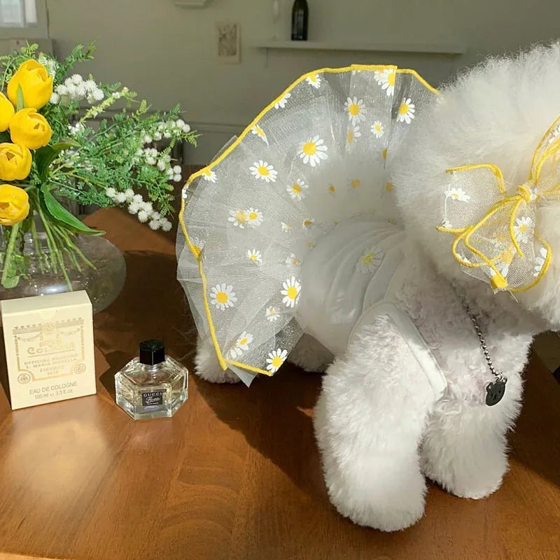 Yellow daisy print mesh dog summer clothes for small to extra large dogs